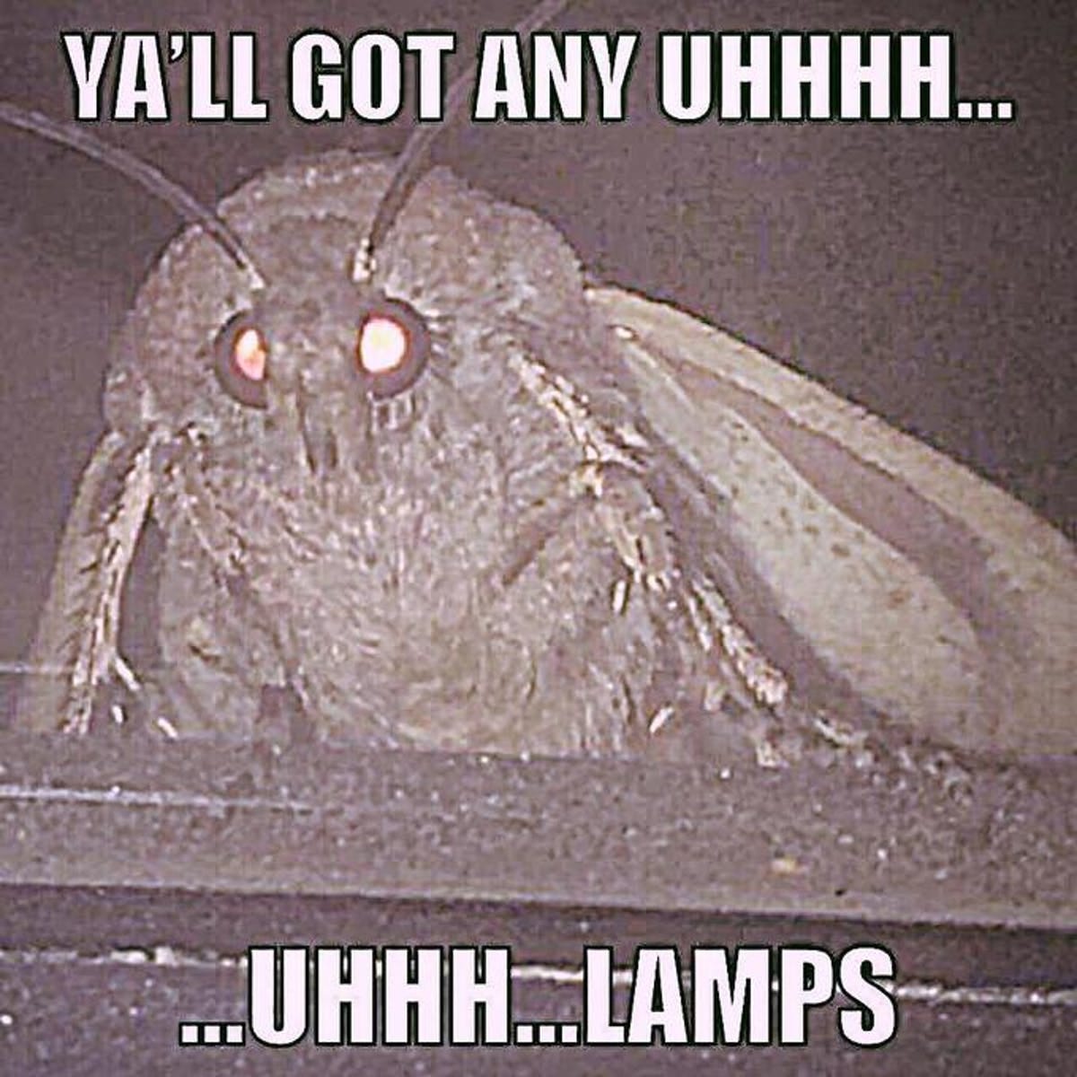 got_any_lamps