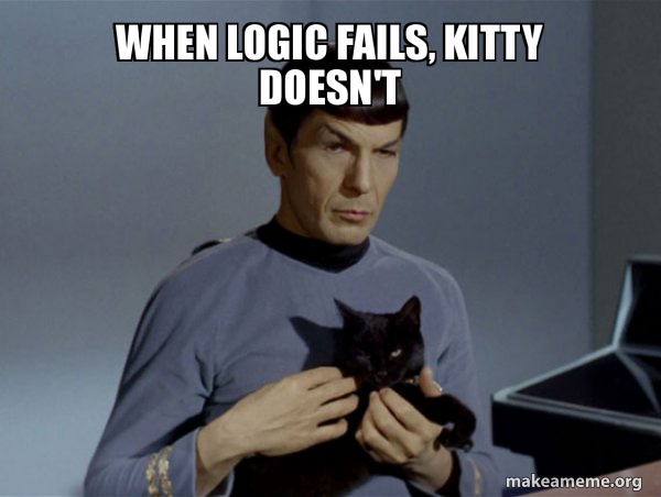 when-logic-fails-kitty-doesnt